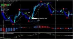 indikatory-dlja-foreks-tipy-primenenie-i-strategii-ispolzovanija