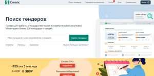 kakoe-po-dlja-tenderov-stoit-kupit-podrobnyj-obzor-i-kriterii-vybora