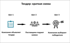 obespechenie-v-tendere-vidy-funkcii-i-porjadok-predostavlenija